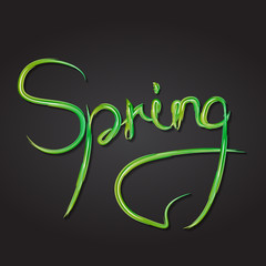 Fototapeta premium Spring lettering word color grass brush effect