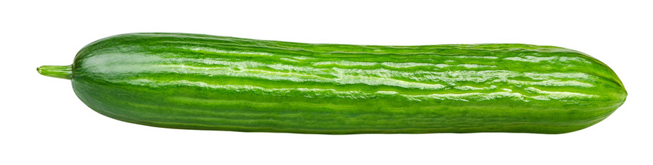 Isolated cucumber. One whole cucumber isolated on white background with clipping path