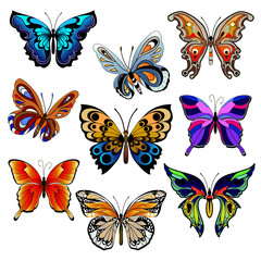 multicolored butterflies set