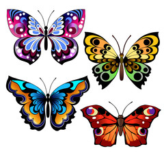 multicolored butterflies set