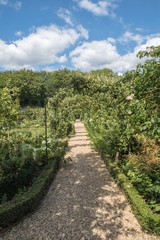 Fototapeta na wymiar English Country Garden Path in the summer