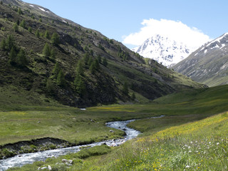 Italy, Lombardy, Trepalle, Vallaccia Valley, alpine mountain landscape in summer river and flowered meadows with snow-capped mountains