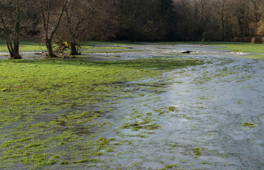 Ruisseau d'Argentolle