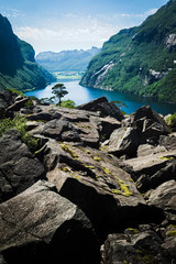 Fototapete bei efototapeten.de bestellen   