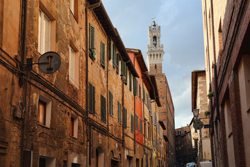 Fototapeta na wymiar Tower of the city hall of Siena, Italy