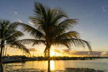 USA, Florida, Fantastic sunset behind palm tree reflecting in ocean at village on floriday keys