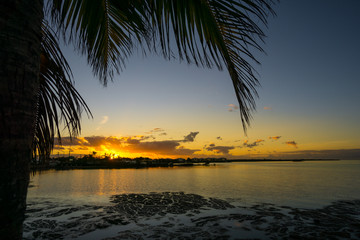 Fototapeta na wymiar USA, Florida, Orange amazing sunset behind palm tree leaf on florida keys city