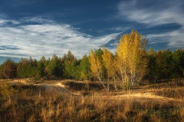 Obraz na płótnie Canvas Autumn bright and warm day on the road near the forest