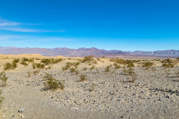 Desert in Arizona, US