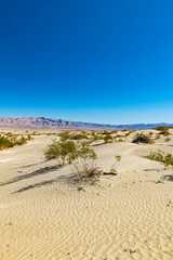 Fototapeta na wymiar Desert in Arizona, US