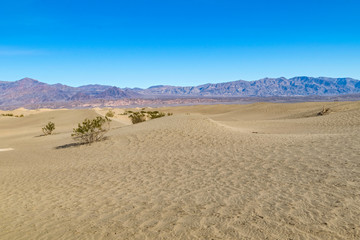 Fototapeta na wymiar Desert in Arizona, US