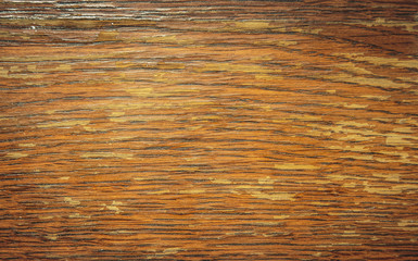 Old warn wood texture