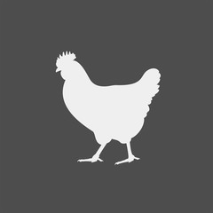 Chicken flat vecot icon