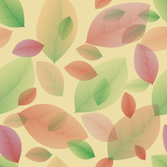 colored leaves on a yellow background
