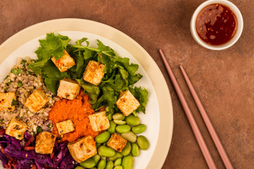 Asian Style Spicy Vegan or Vegetarian Tofu Salad