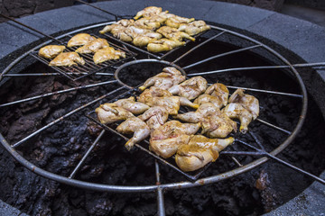 Geothermal Experiment at Timanfaya National Park