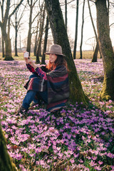 Spring crocuses in forest and a female traveler