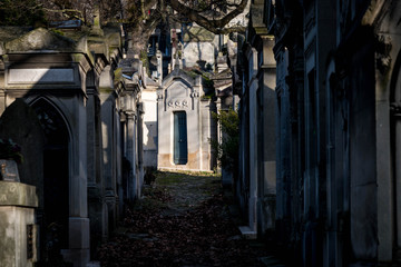 allée ombragée