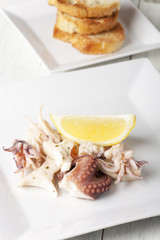 Nahaufnahme der Meeresfrüchte antipasti