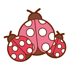 ladybugs insect small icon animal