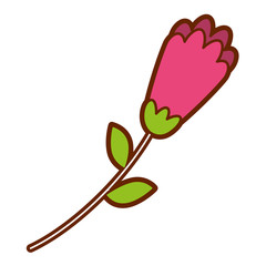 flower stem leaves nature petals decoration