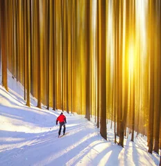 Schilderijen op glas nordic ski, sunset light, forest © kovop58
