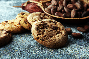 Chocolate cookies on grey table. Chocolate chip cookies shot