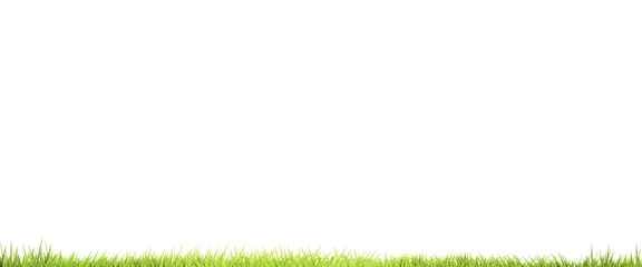 Poster green grass meadow blades of grass 3d rendering © wetzkaz