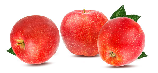 Fresh red apple isolated on white background with clipping path