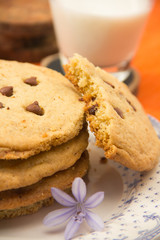 Chocolate chips cookies and milk