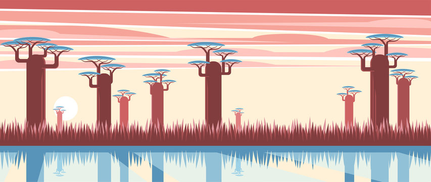 Evening African landscape with baobas near the lake in the background of the sundown and clouds. Nature of Madagascar vector flat illustration. Africa sunset background