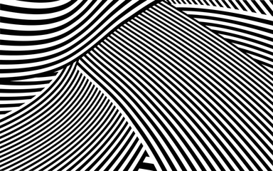Zebra Design Black and White Stripes Vector