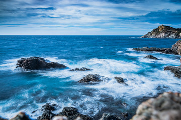Sur les Iles du Gaou à Six-Fours-les-Plages, le Brusc