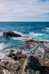 Sur les Iles du Gaou à Six-Fours-les-Plages, le Brusc