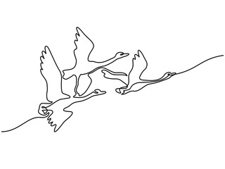 Continuous one line drawing. Flying Swans logo. Black and white vector illustration. Concept for logo, card, banner, poster, flyer