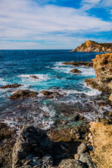 Sur les Iles du Gaou à Six-Fours-les-Plages, le Brusc