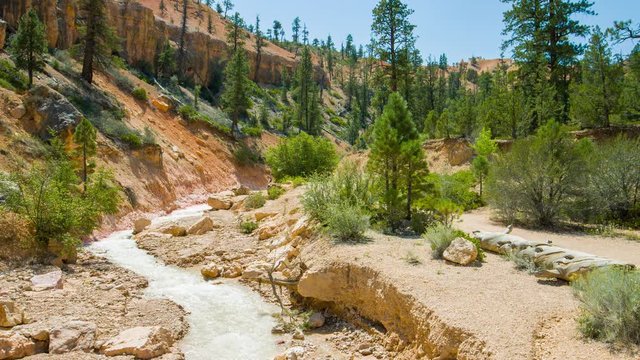Small creek among yellow cliffs. Green pine-trees on rock slopes. Amazing mountain landscape. Bryce Canyon National Park. Utah. USA. 4K, 3840*2160, high bit rate, UHD