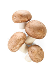Raw cremini mushrooms on white background