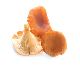 Raw chanterelle mushrooms on white background