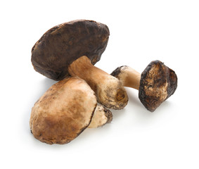 Raw mushrooms on white background