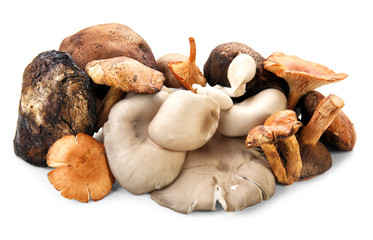 Variety of raw mushrooms on white background