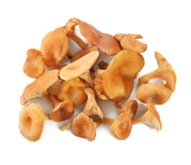 Raw chanterelle mushrooms on white background