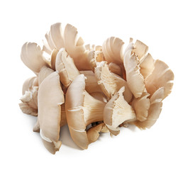 Raw oyster mushrooms on white background