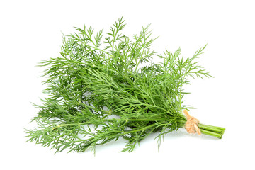 Dill tied in a bundle, isolated.