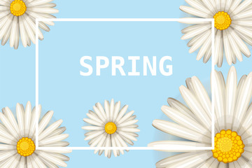 Hello spring, daisies flowers background, cartoon style, vector, illustration, flyer, banner, isolated