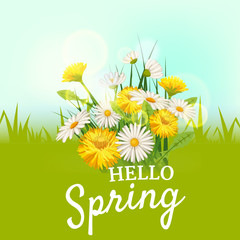Hello spring, a bouquet of daisies flowers dandelions, on a green background, cartoon style, vector, illustration, flyer, banner, isolated