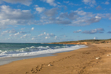 Obraz premium Footprints on the sand along the beach on Akamas Peninsula, Cyprus