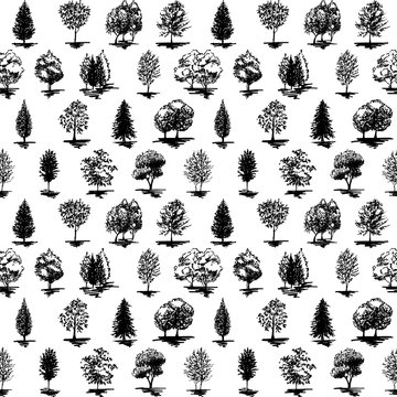Monochrome black and white tree silhouette sketched line art seamless pattern background vector