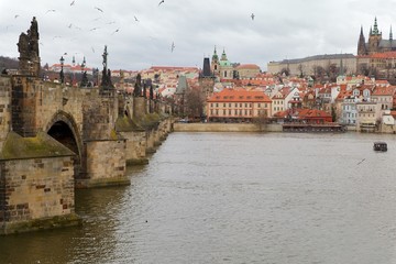  Prague historical center with Charles Bridge on Vltava river and Prague Castle, Czech Republic