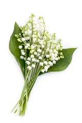 Peel and stick wall murals Lily of the valley Lily of the Valley Isolated on White